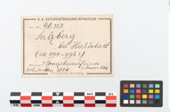 Etikett zu Bronzeschwertknauf (NHMW-PRAE-048327)